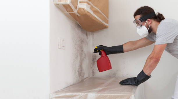 Professional Bathroom Mold Removal technician working in Flintstone, MD