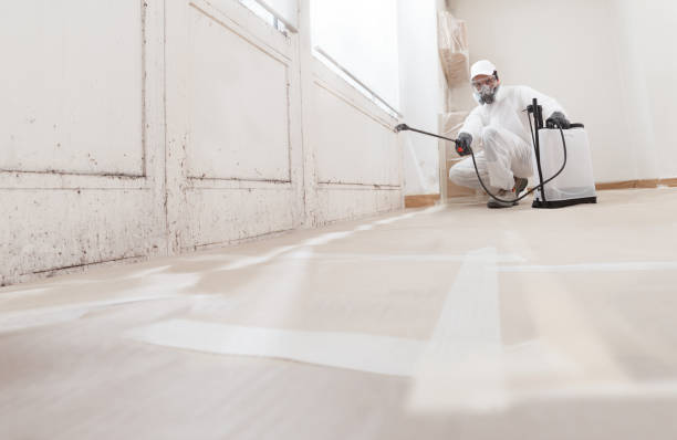 24/7 Emergency Bathroom Mold Removal experts in Flintstone, MD
